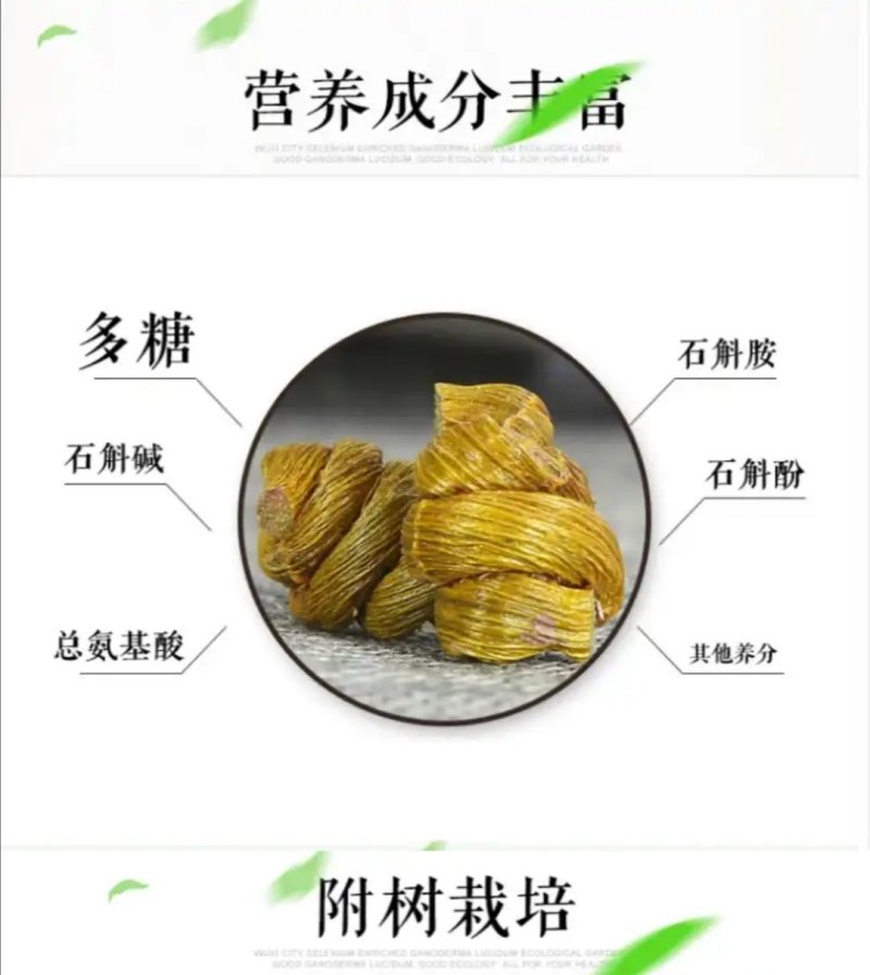云南石斛霍山铁皮石斛野生铁皮枫斗铁皮枫斗野生石斛铁皮干石
