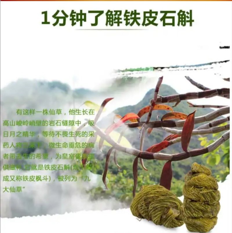 云南石斛霍山铁皮石斛野生铁皮枫斗铁皮枫斗野生石斛铁皮干石