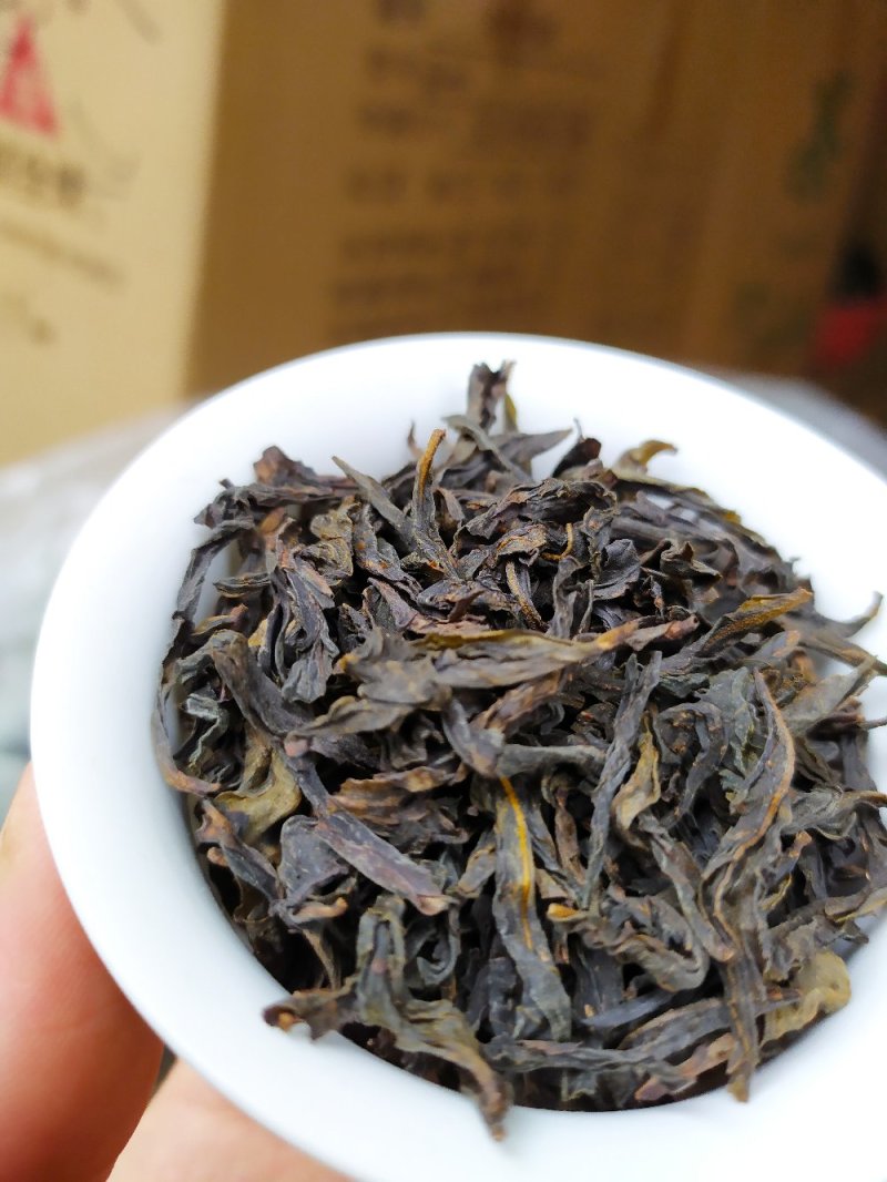 黄枝香单枞茶高山凤凰单丛茶潮州乌叶单枞茶乌龙茶1斤