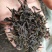 黄枝香单枞茶高山凤凰单丛茶潮州乌叶单枞茶乌龙茶1斤