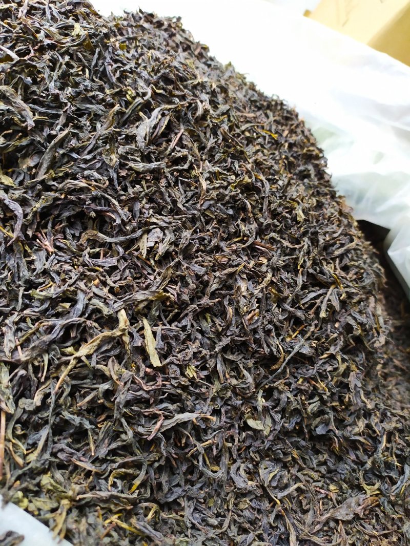 黄枝香单枞茶高山凤凰单丛茶潮州乌叶单枞茶乌龙茶1斤