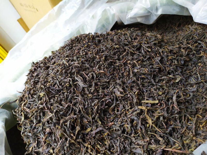 黄枝香单枞茶高山凤凰单丛茶潮州乌叶单枞茶乌龙茶1斤