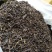 黄枝香单枞茶高山凤凰单丛茶潮州乌叶单枞茶乌龙茶1斤