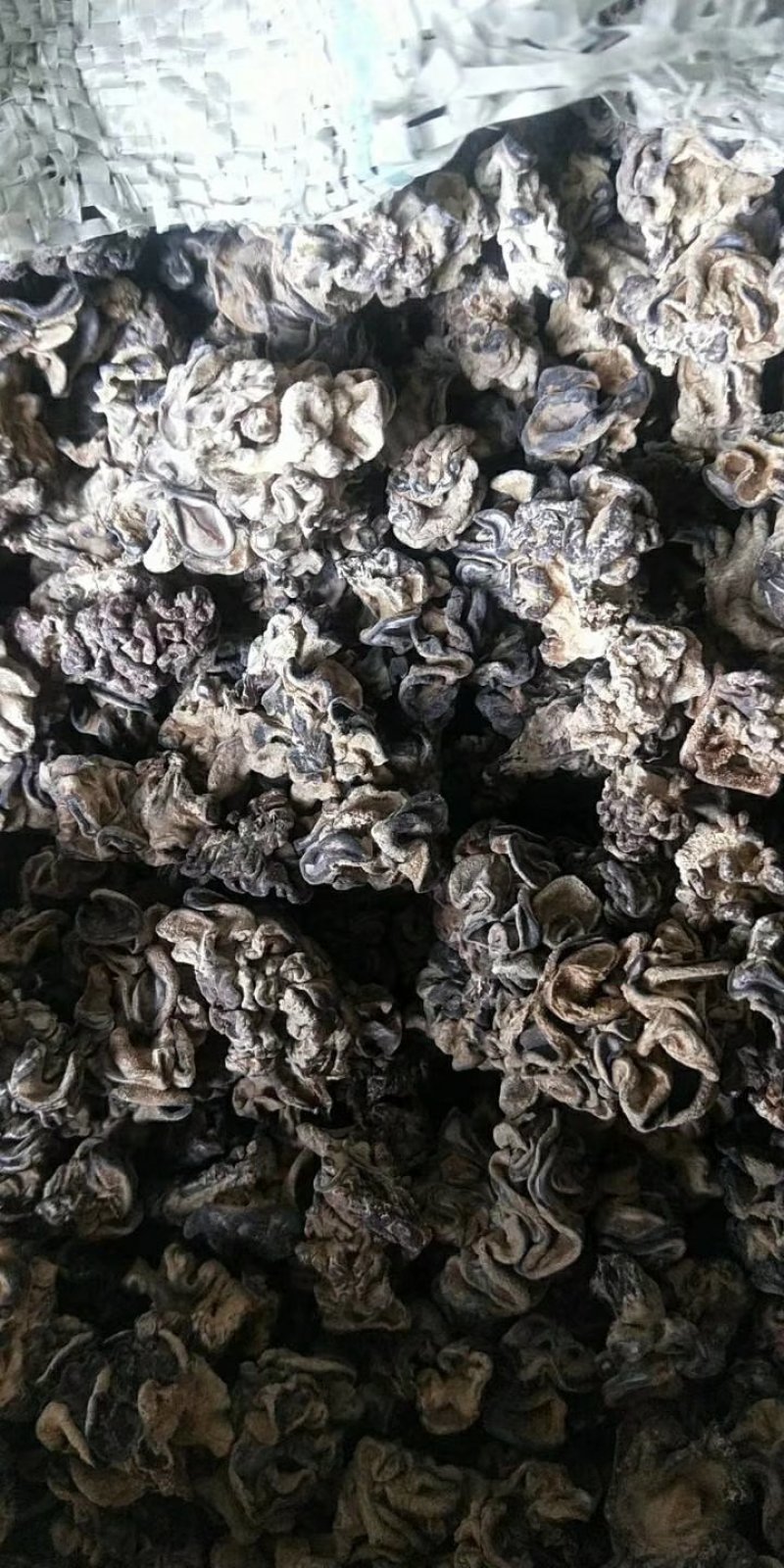 核桃菌，马卡菌，规格型号自己选，价格美丽