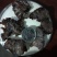 核桃菌，马卡菌，规格型号自己选，价格美丽