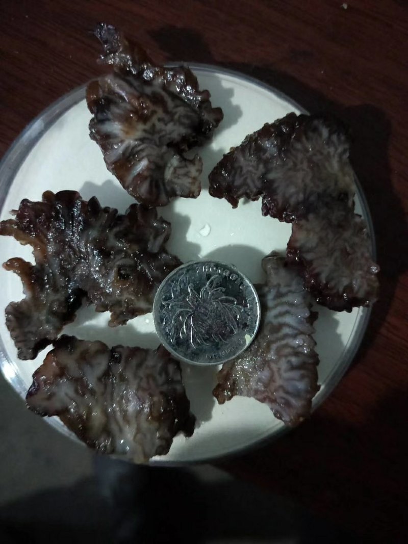 核桃菌，马卡菌，规格型号自己选，价格美丽