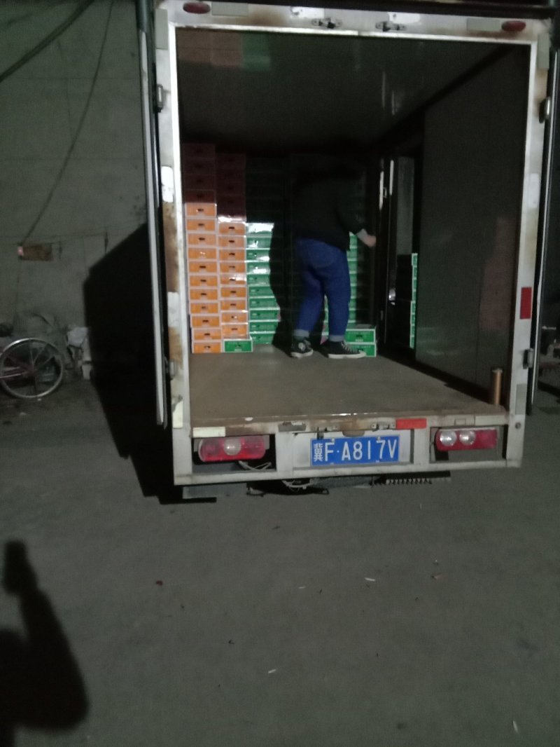 葡萄河北巨峰葡萄大量现货实力供应海量货源