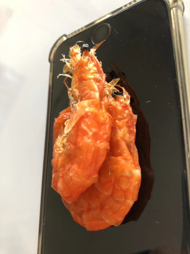 农村人自家养殖制作优质即食微波烤软虾干量大规格全