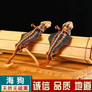 中草药海狗1对中药材海狗干货泡酒料男