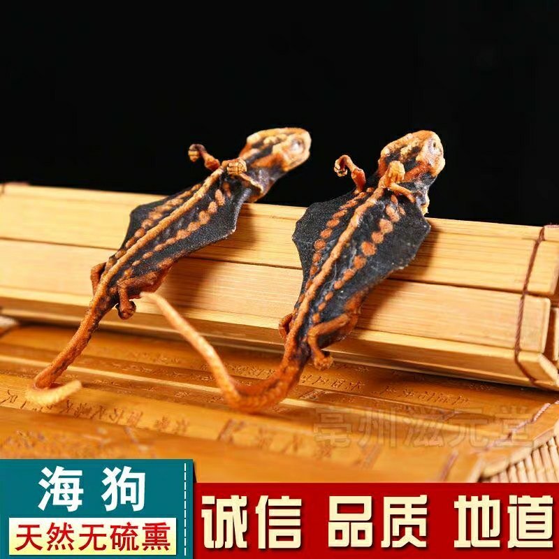 中草药海狗1对中药材海狗干货泡酒料男