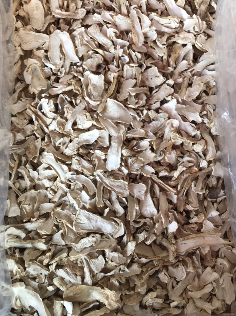 球盖菇干片去皮赤松茸基地批发！