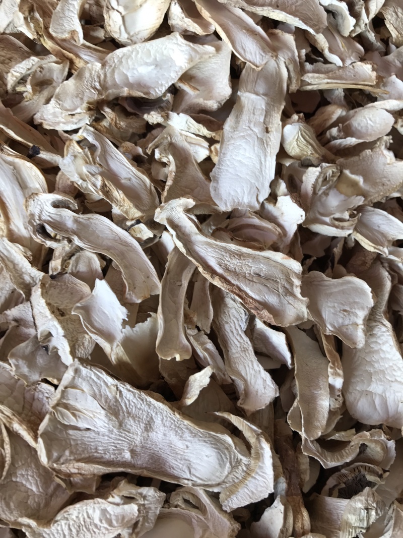 球盖菇干片去皮赤松茸基地批发！