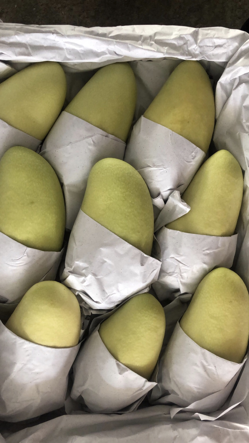 金煌芒套袋金煌芒果产地批发运费自付一件带框60斤