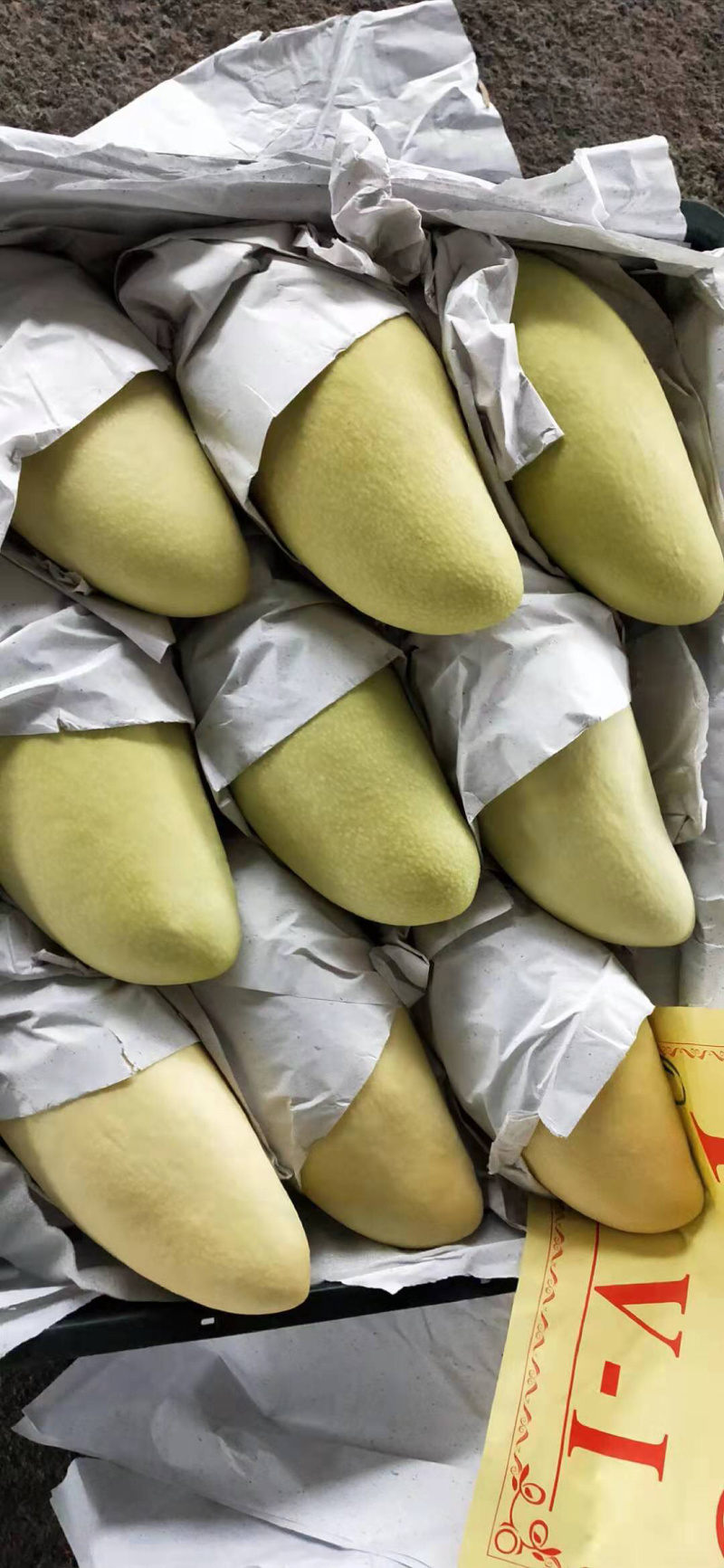 金煌芒套袋金煌芒果产地批发运费自付一件带框60斤