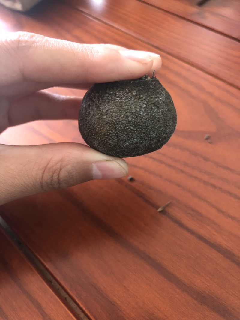 新会原产地小青柑成年普洱茶黑茶