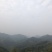 高海拔野生金观音正山小种