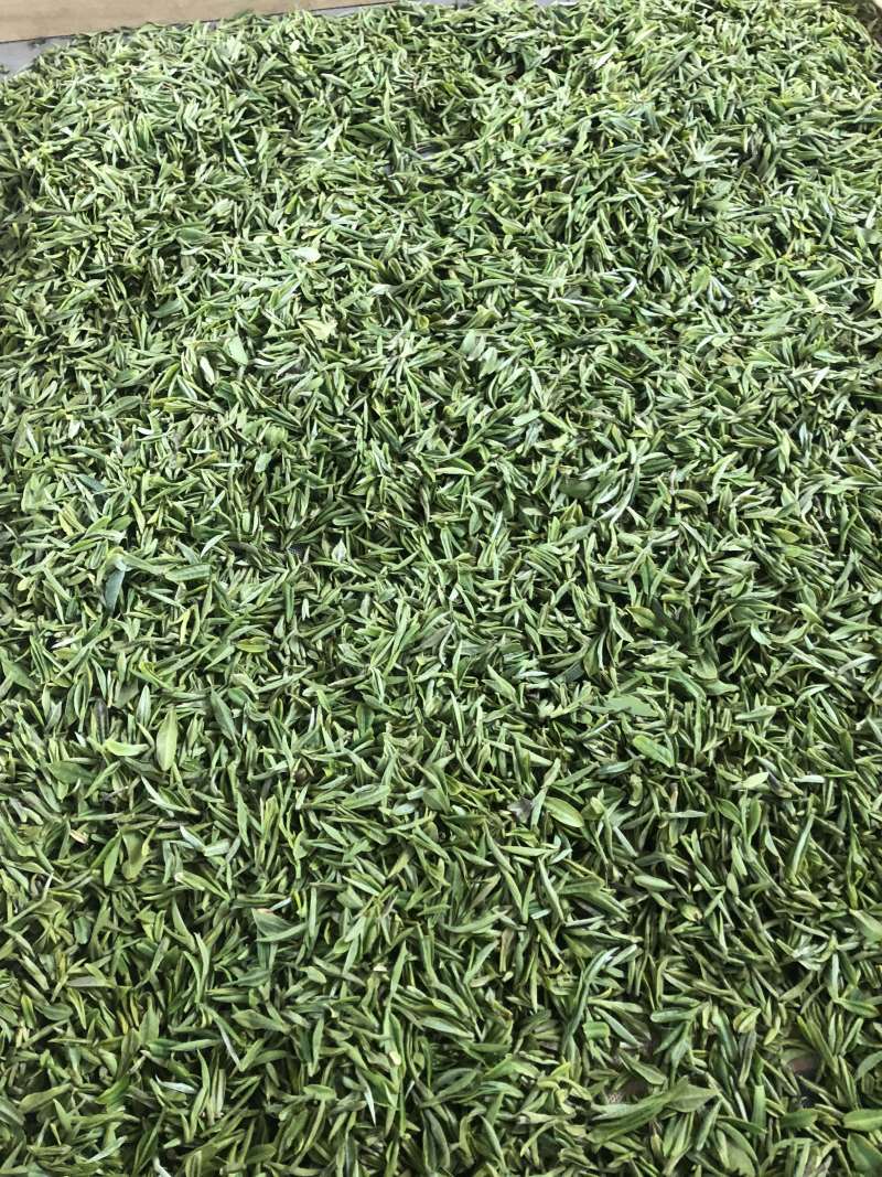 兰花香梅占金骏眉红茶