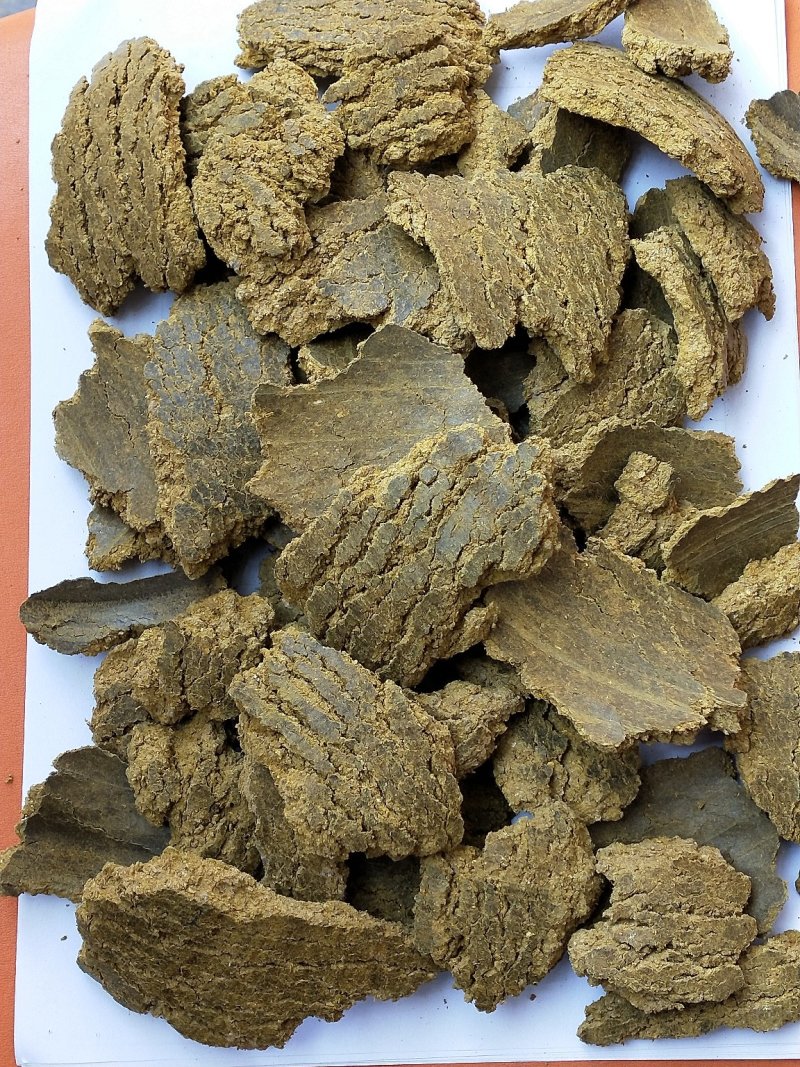 棉籽饼_厂家直销量大供应&各种蔬菜优选之一