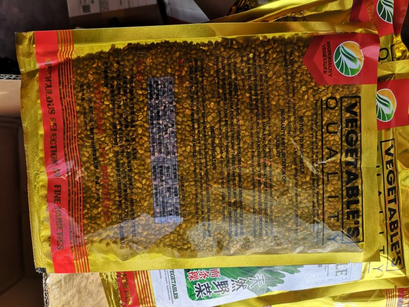 空心菜种子大叶空心菜种子柳叶空心菜种子抗逆性强