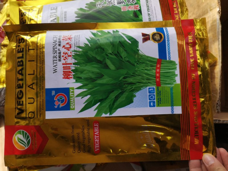 空心菜种子大叶空心菜种子柳叶空心菜种子抗逆性强