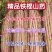 精品铁棍山药，支持打包装箱，全国物流发货
