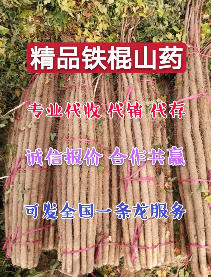 精品铁棍山药，支持打包装箱，全国物流发货