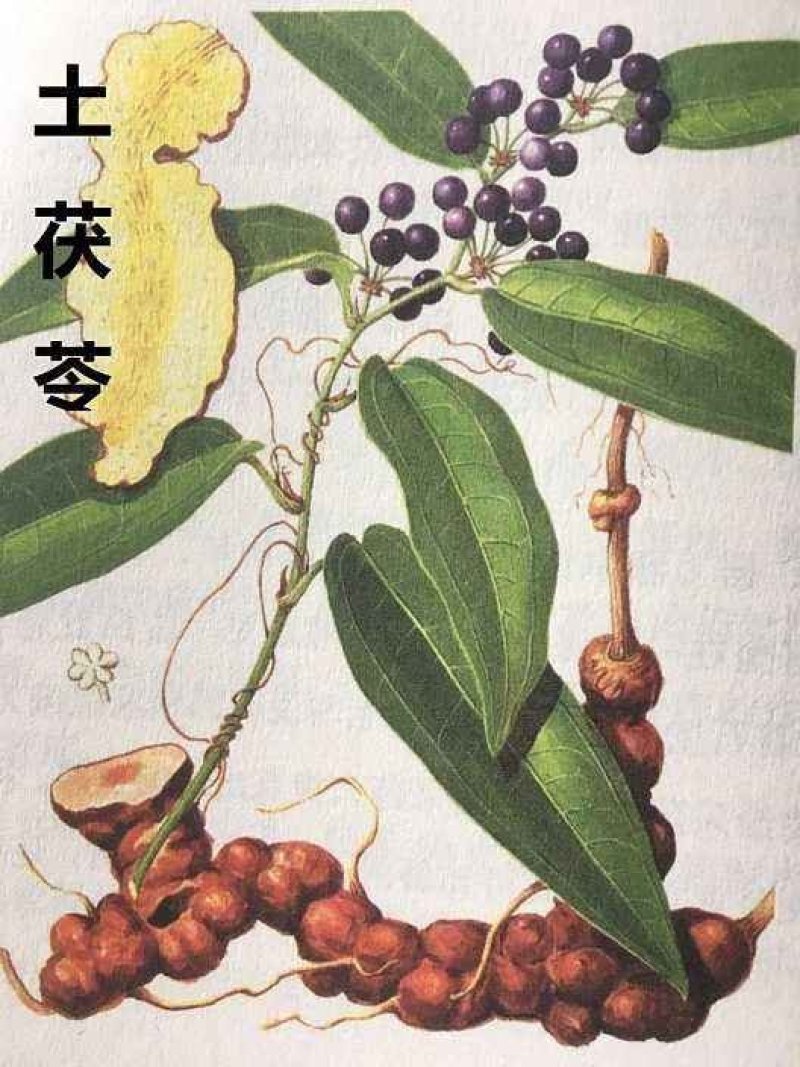 优质粉质土茯苓、纯野生无污染、甘甜新鲜无苦味少量有货