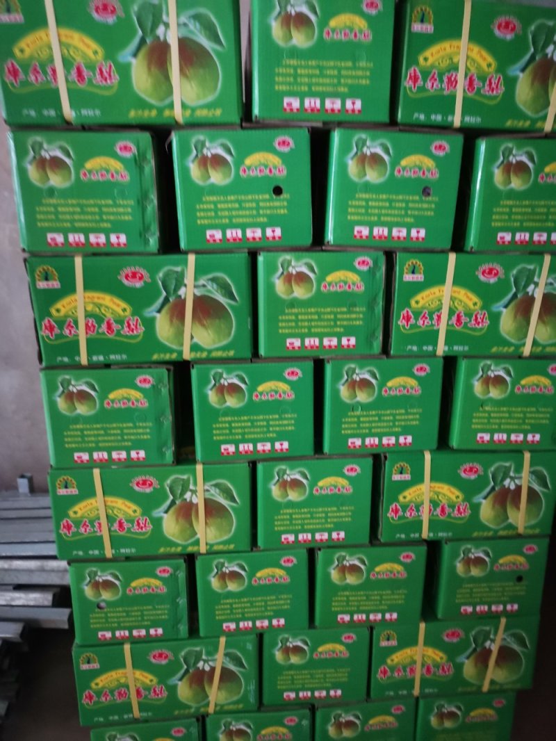 【红香酥梨】陕西蒲城新鲜采摘视频看货/线上供应全国代发…