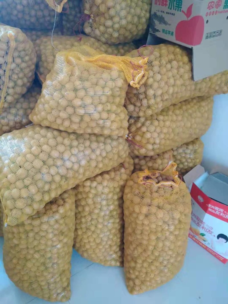 核桃