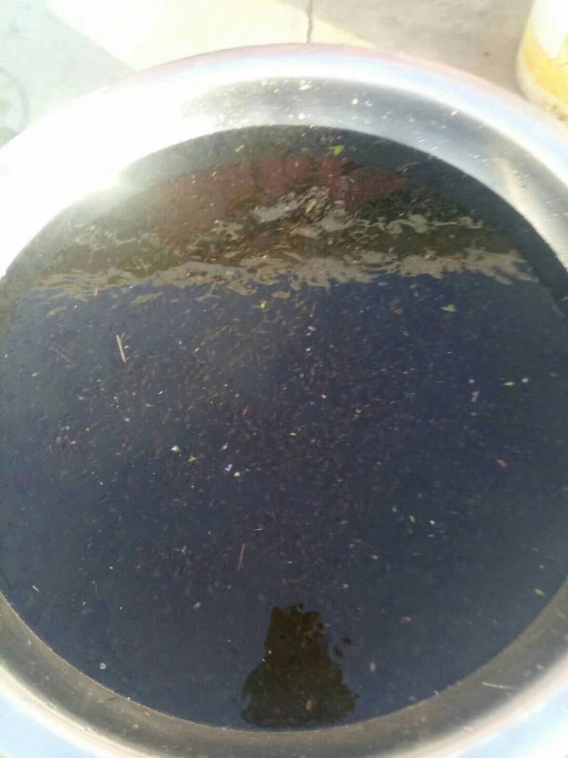 青蛙苗。支持技术，厂地指导，销售，回收，协助办养殖证件，