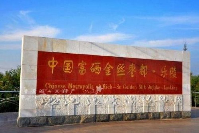 【山东红枣】乐陵金丝小枣，来自乐陵万亩枣林，粒粒精选