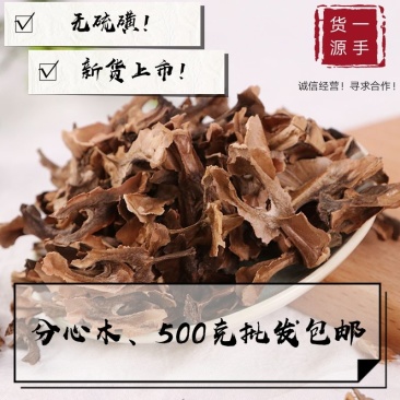 批发中药材分心木提供大货量大从优