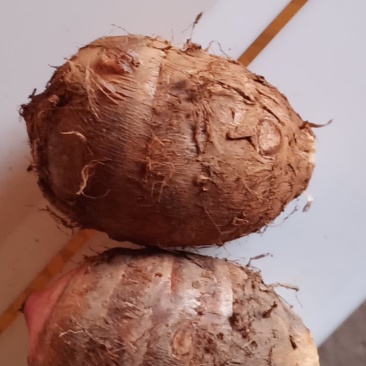 物美价廉的红芽芋头，有需要老板的快来订购实力派
