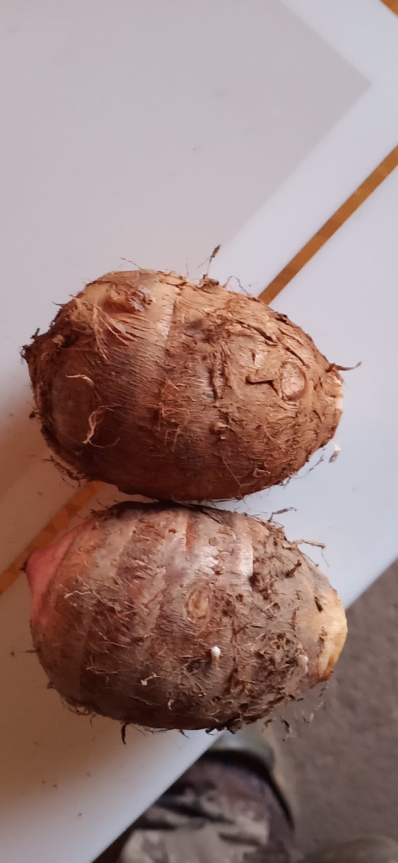 物美价廉的红芽芋头，有需要老板的快来订购实力派