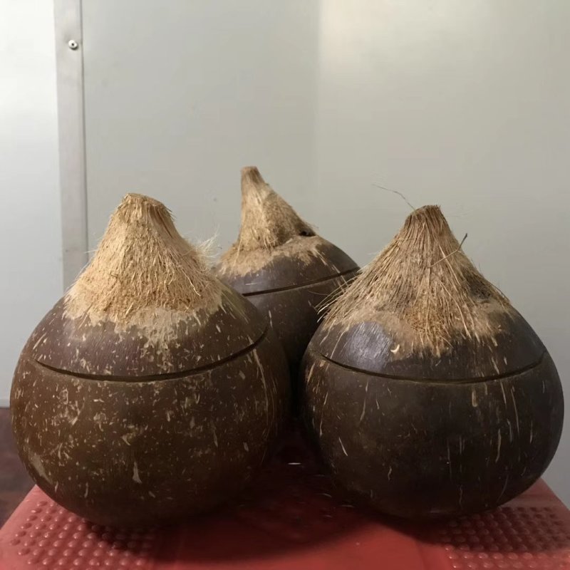 【精品黑椰皇】老椰子孕妇水果原装椰子原味椰汁煲汤