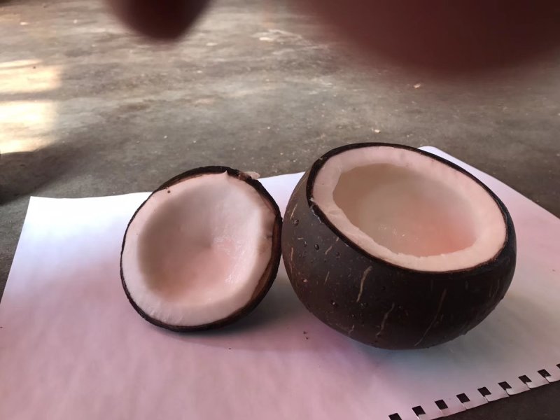 【精品黑椰皇】老椰子孕妇水果原装椰子原味椰汁煲汤