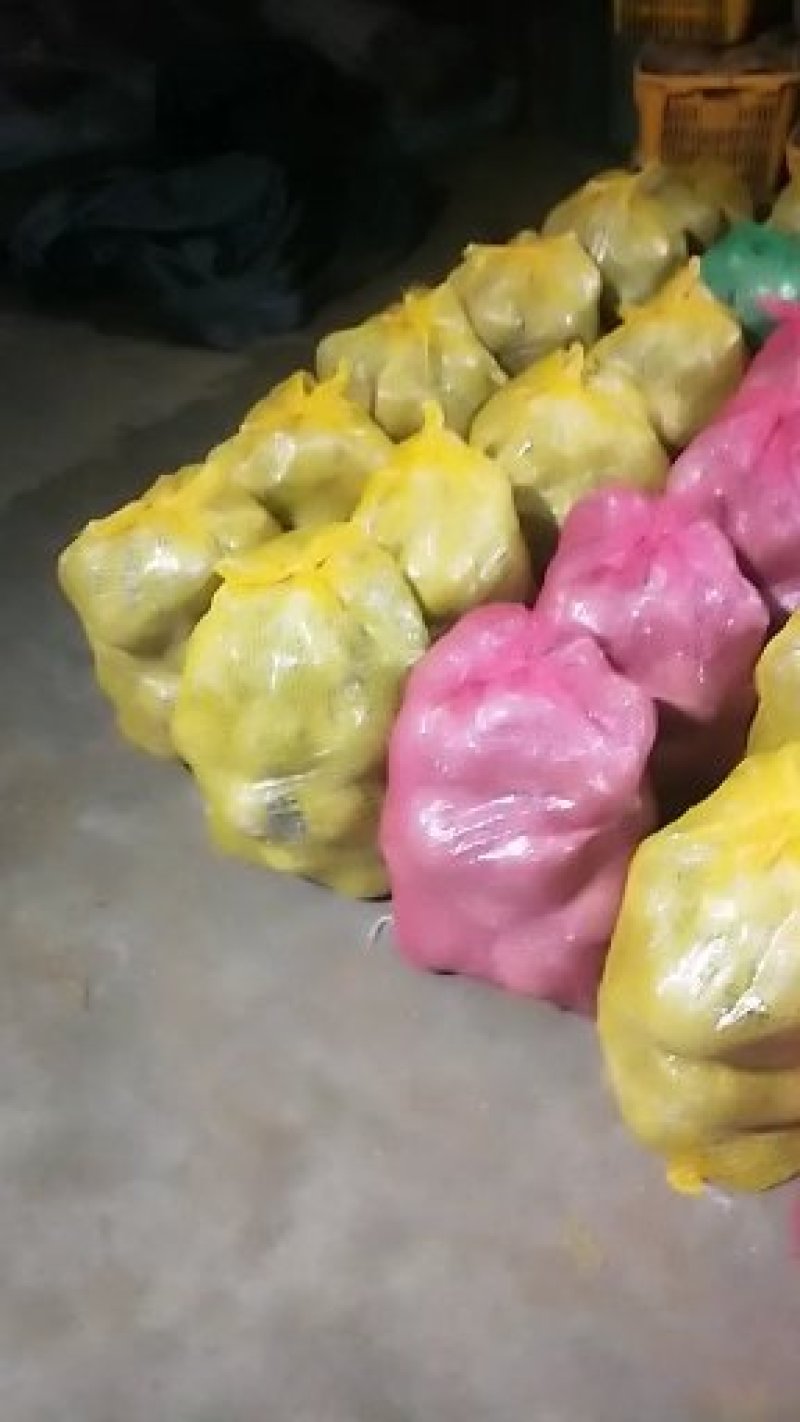 越南老椰椰皇热带椰子椰盅酒店炖品店甜品店不包邮物流提付