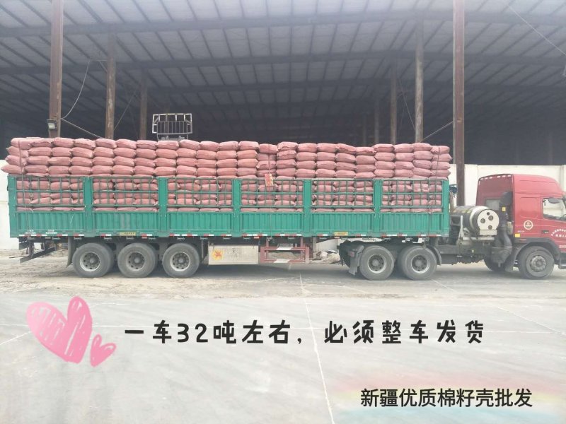 棉籽壳新疆棉籽壳中壳中绒蘑菇种植食用菌栽培