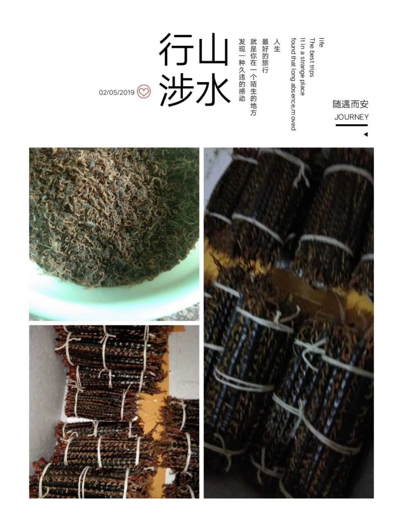 娱蚣：零售：批发。各种规定：一手货源品质保：迎大批采购。