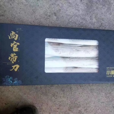 精品刀鱼尚官带刀精品刀鱼