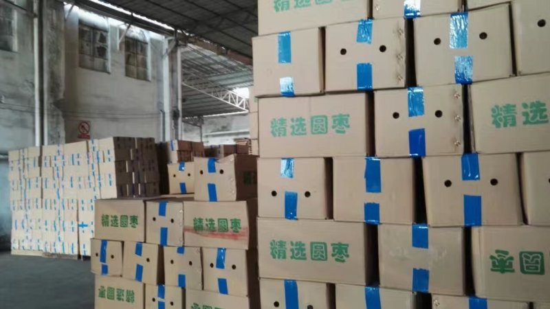 山西黑枣(乌枣)现货批发.粒粒精选.质优价廉.产地直销