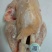 【东北有好货】珍草香散养小笨鸡，不打抗生素，不喂食饲料