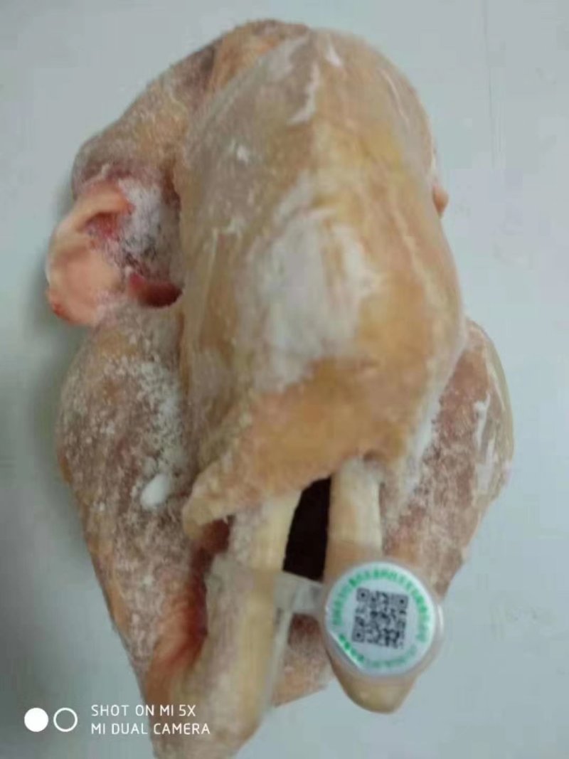 【东北有好货】珍草香散养小笨鸡，不打抗生素，不喂食饲料