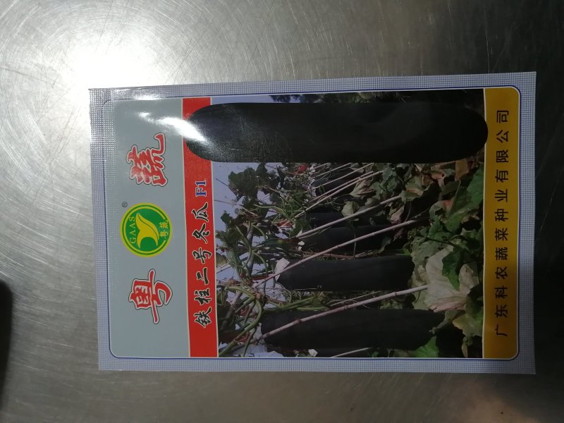 铁柱二号黑皮冬瓜种子