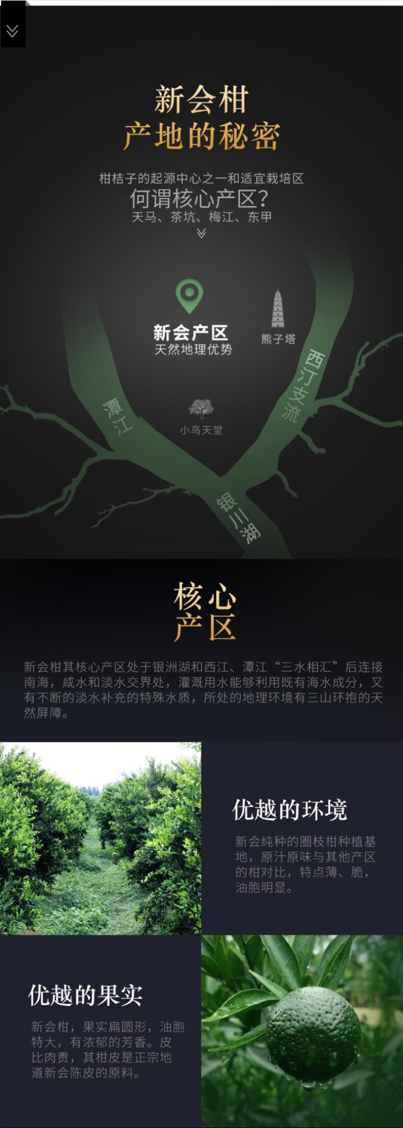 新会小青柑陈皮普洱茶10年宫廷柑普茶礼盒装茶叶360克