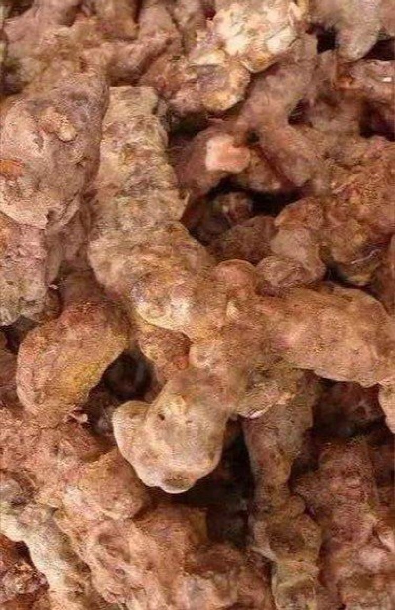 优质粉质土茯苓、纯野生无污染、甘甜新鲜无苦味少量有货
