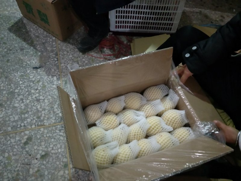 陕西省蒲城县，优质酥梨皮薄，核小，口感佳