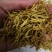 素馨花冷背中药材一千余种