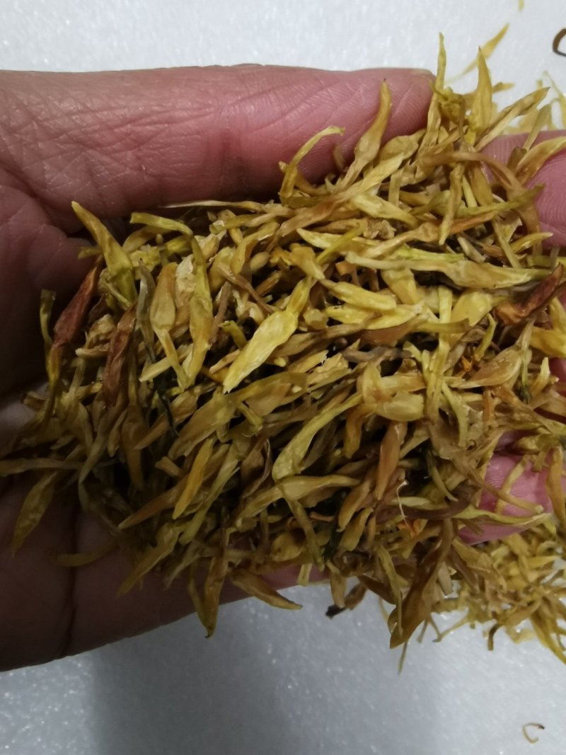 素馨花冷背中药材一千余种