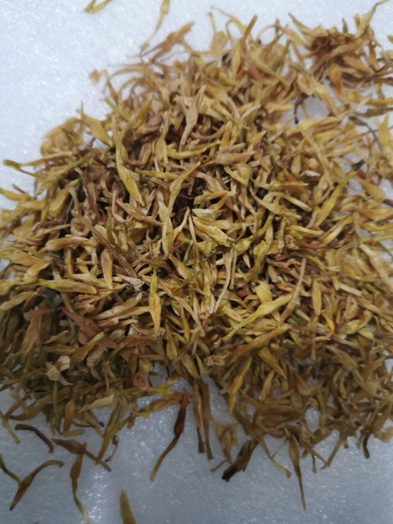素馨花冷背中药材一千余种
